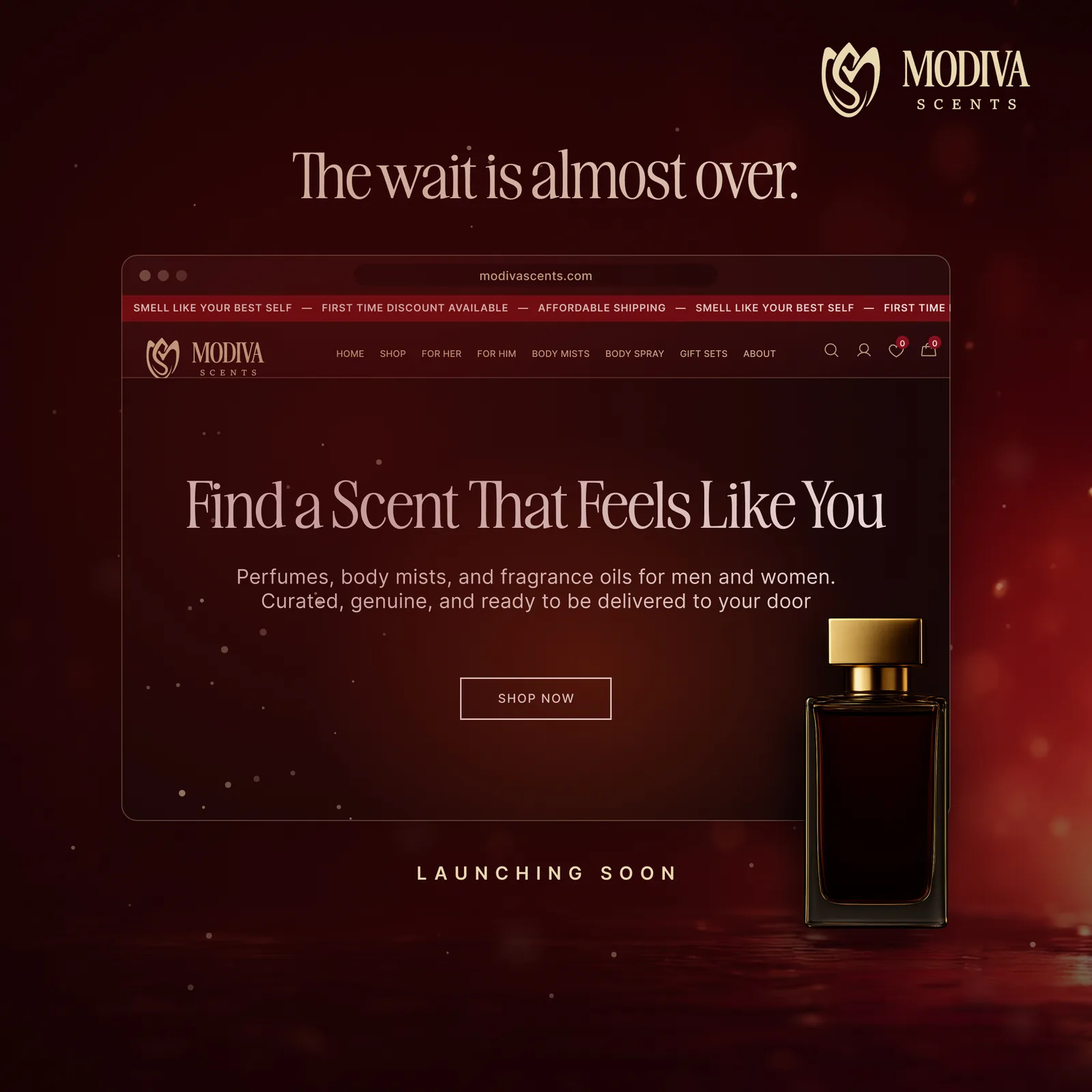 Teaser D, the website revealed in dark-glow art direction